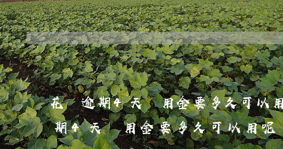 花唄逾期4天備用金要多久可以用-花唄逾期4天備用金要多久可以用呢