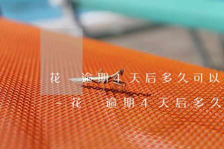 花唄逾期4天后多久可以恢復(fù)使用-花唄逾期4天后多久可以恢復(fù)使用額度