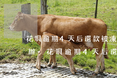 花唄逾期4天后還款被凍結(jié)怎么辦-花唄逾期4天后還款被凍結(jié)怎么辦呢