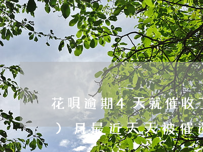 花唄逾期4天就催收了(花唄逾期五個(gè)月最近天天被催還錢怎么辦)