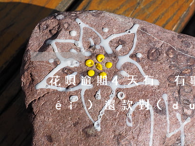 花唄逾期4天有沒有事(花唄逾期四天內(nèi)還款對(duì)個(gè)人征信有影響嗎)