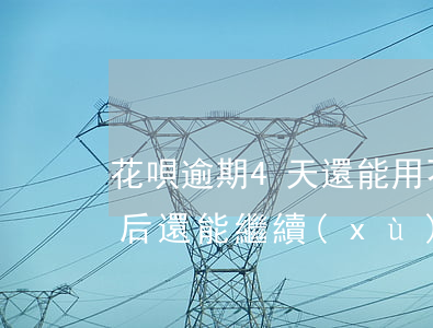 花唄逾期4天還能用不(花唄逾期五天,還上以后還能繼續(xù)使用嗎)