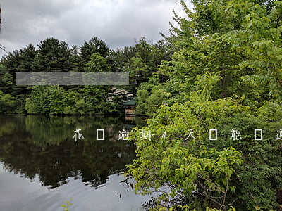 花唄逾期4天還能開通嗎