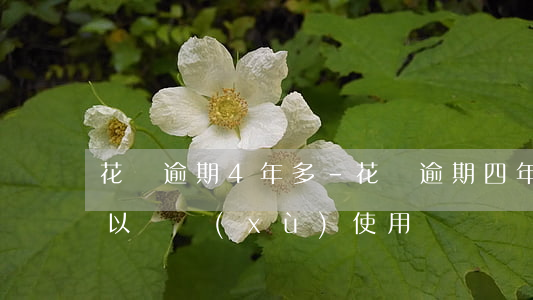 花唄逾期4年多-花唄逾期四年還清以后可以繼續(xù)使用嗎