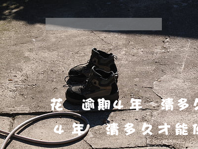 花唄逾期4年還清多久才能使用-花唄逾期4年還清多久才能使用啊