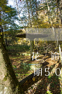 花唄逾期5000塊可以分期還嗎-花唄逾期5000塊可以分期還嗎