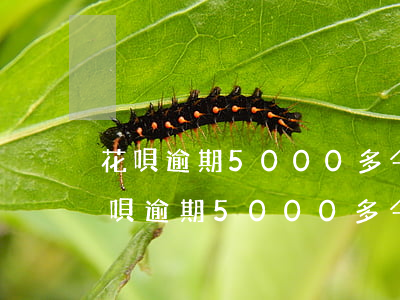 花唄逾期5000多,今天打電話說上門-花唄逾期5000多,今天打電話說上門是真的嗎