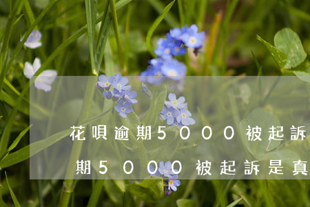 花唄逾期5000被起訴是真的嗎-花唄逾期5000被起訴是真的嗎嗎