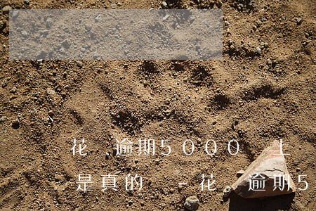 花唄逾期5000說上門調(diào)查是真的嗎-花唄逾期5000說上門調(diào)查是真的嗎嗎