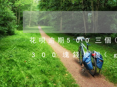 花唄逾期500三個(gè)月了(花唄逾期300塊錢幾個(gè)月不還嚴(yán)不嚴(yán)重)