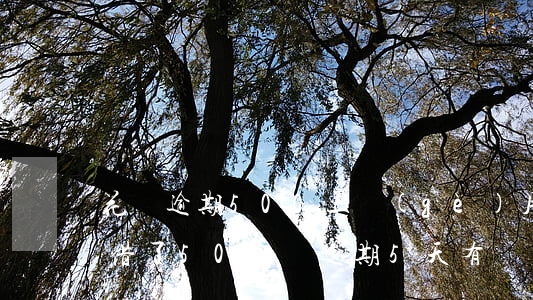 花唄逾期500三個(gè)月(我在花唄里借了500塊逾期5天有沒有影響)