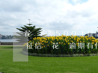 花唄逾期500上征信(花唄逾期1000上征信嗎?花唄逾期有什么后果)
