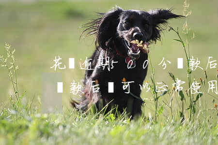 花唄逾期500分還款后(花唄逾期500天還款后還可以正常使用嗎)