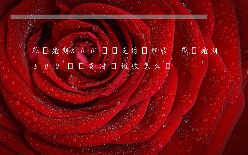 花唄逾期500塊錢,支付寶催收-花唄逾期500塊錢,支付寶催收怎么辦