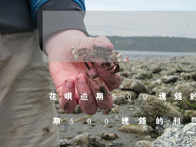 花唄逾期500塊錢的利息怎么算-花唄逾期500塊錢的利息怎么算出來(lái)