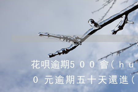 花唄逾期500會(huì)怎樣 花唄500元逾期五十天還進(jìn)去能馬上用嗎?