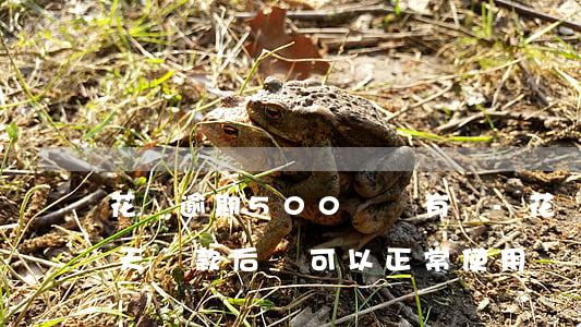 花唄逾期500還沒有還-花唄逾期500天還款后還可以正常使用嗎