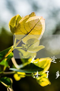 花唄逾期50危害大嗎(花唄逾期50天后還清了多久能恢復(fù)使用資格)