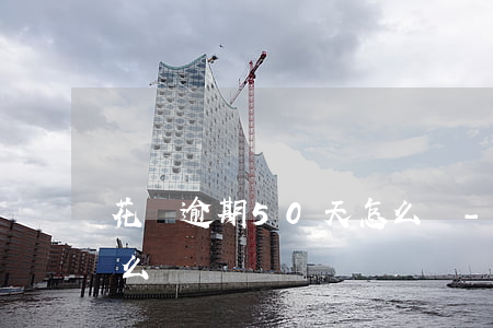 花唄逾期50天怎么還-花唄逾期50天怎么還