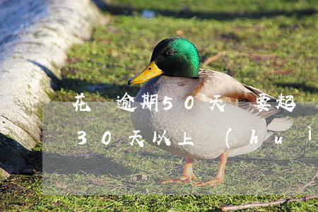 花唄逾期50天說要起訴(欠花唄700逾期30天以上,會(huì)不會(huì)被起訴)