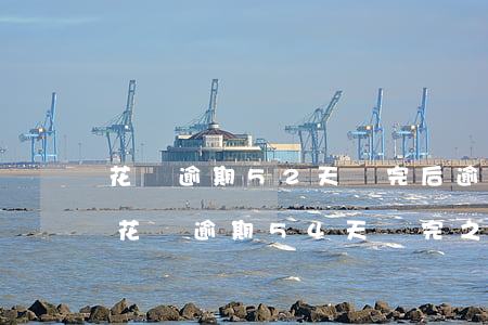 花唄逾期52天還完后,逾期天數仍在增加-花唄逾期54天還完之后什么時候可以再使用花唄