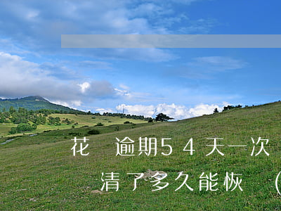 花唄逾期54天一次還清(花唄逾期45天后還清了多久能恢復(fù)使用資格)
