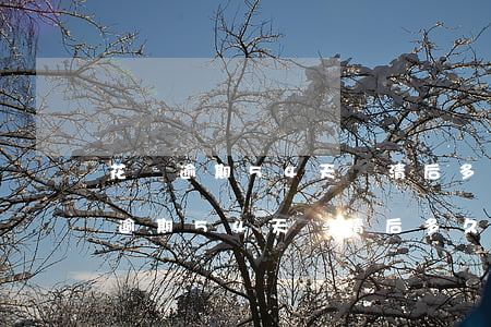 花唄逾期54天還清后多久還可以用-花唄逾期54天還清后多久還可以用啊