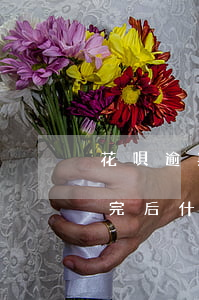 花唄逾期54天還能還嗎(花唄逾期四十天還完后,什么時候能繼續(xù)用)