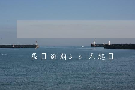 花唄逾期55天起訴