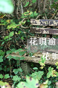 花唄逾期5個(gè)月了還能提高額度嗎-花唄逾期5個(gè)月了還能提高額度嗎