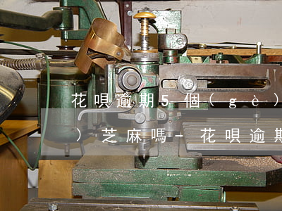 花唄逾期5個(gè)月后還能恢復(fù)芝麻嗎-花唄逾期5個(gè)月后還能恢復(fù)芝麻嗎怎么辦