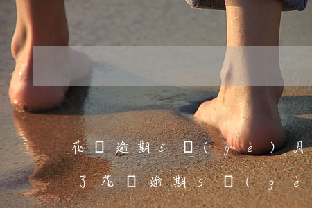 花唄逾期5個(gè)月關(guān)閉了(花唄逾期5個(gè)月沒還會(huì)有什么嚴(yán)重后果)