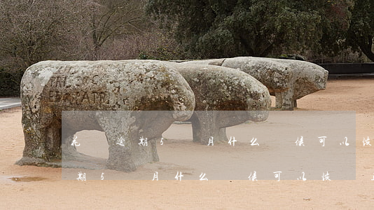 花唄逾期5個月什么時候可以恢復-花唄逾期5個月什么時候可以恢復正常
