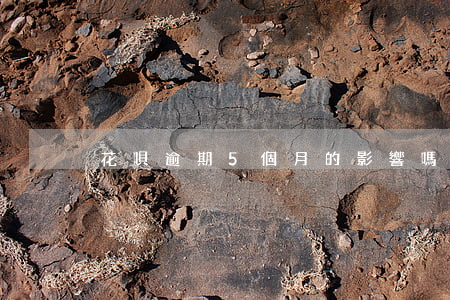 花唄逾期5個月的影響嗎