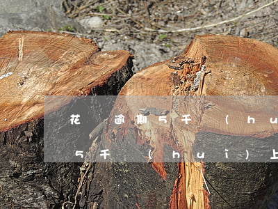 花唄逾期5千會(huì)上門嗎(花唄逾期5千會(huì)上門嗎)
