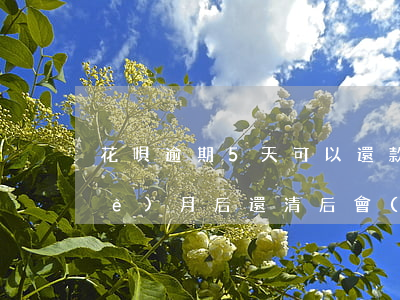花唄逾期5天可以還款嗎(花唄逾期五個(gè)月后還清后會(huì)有什么影響)