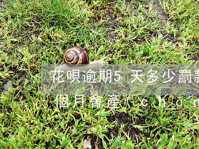 花唄逾期5天多少罰款(花唄1500逾期3個月會產(chǎn)生多少費(fèi)用)