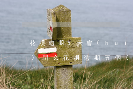 花唄逾期5天會(huì)被關(guān)閉么(花唄逾期五個(gè)月后還清后會(huì)有什么影響)
