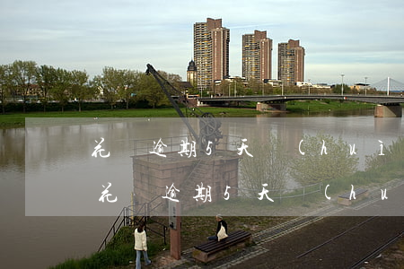 花唄逾期5天會(huì)被騷擾嗎(支付寶花唄逾期5天會(huì)不會(huì)有什么影響)