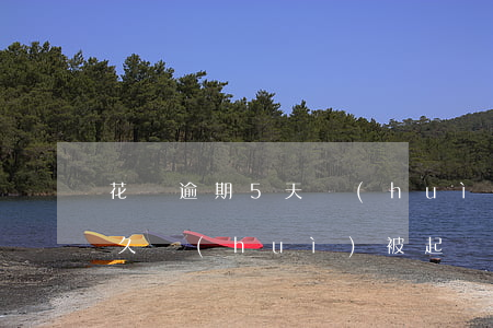 花唄逾期5天會(huì)起訴(花唄逾期多久會(huì)被起訴?花唄逾期被起訴)