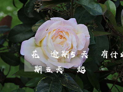 花唄逾期5天會有什么后果?,有獎問答（花唄逾期五天會起訴）