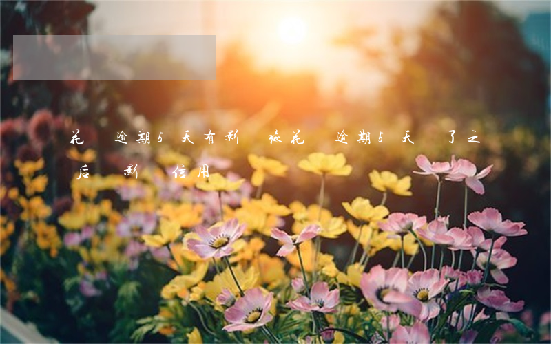 花唄逾期5天有影響嘛(花唄逾期5天還了之后會影響信用嗎)