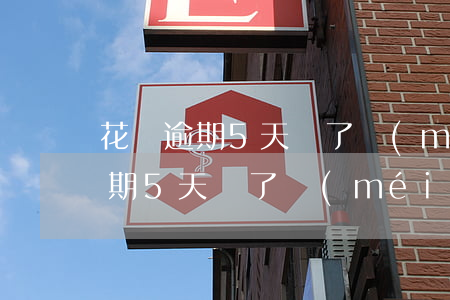 花唄逾期5天還了沒(méi)事吧(花唄逾期5天還了沒(méi)事吧)