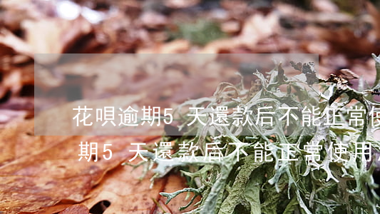 花唄逾期5天還款后不能正常使用-花唄逾期5天還款后不能正常使用怎么辦
