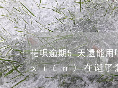 花唄逾期5天還能用嗎(花唄逾期5天了,現(xiàn)在還了,怎么可以恢復使用)