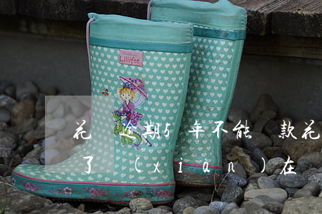花唄逾期5年不能還款(花唄的錢逾期4個月了現(xiàn)在沒能力償還怎么辦)