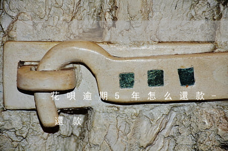 花唄逾期5年怎么還款-花唄逾期5年怎么還款