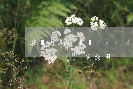 花唄逾期5年,現(xiàn)在還了什么時(shí)候能用