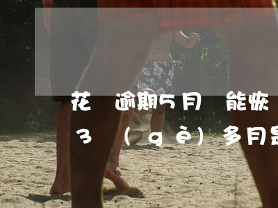 花唄逾期5月還能恢復(fù)嗎(花唄逾期3個(gè)多月是不是永遠(yuǎn)都不會(huì)恢復(fù)了)