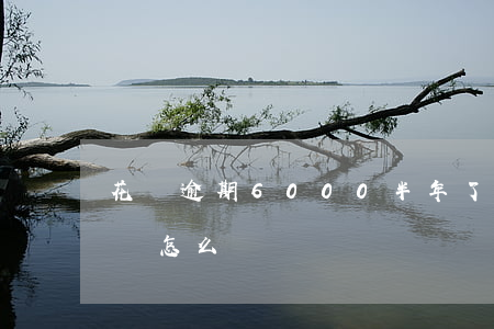 花唄逾期6000半年了(兩千花唄逾期半年會怎么樣)